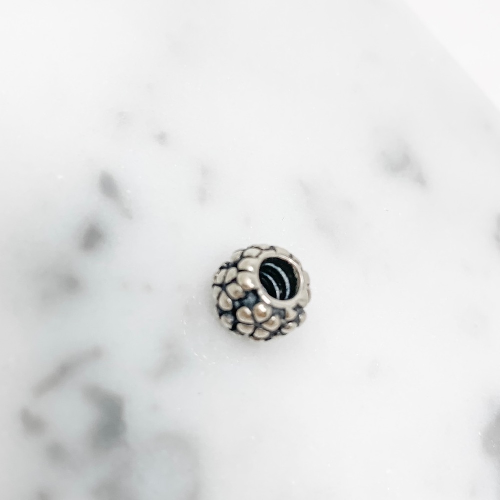 sterling silver charm for Pandora!